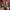 https://res.cloudinary.com/billionhands/image/upload/v1774902640/items/wqo1bvzgawegtf8riu4v.png-2cover