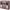 https://res.cloudinary.com/billionhands/image/upload/v1774902679/items/f4cph2ve2hlefqjbvllc.png-2cover