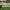https://res.cloudinary.com/billionhands/image/upload/v1774902778/items/it4d51tqyrvvkunfga46.jpg-2cover