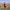 https://res.cloudinary.com/billionhands/image/upload/v1774903227/items/aj9roacace5fqnxd79x4.jpg-1cover