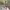 https://res.cloudinary.com/billionhands/image/upload/v1774903228/items/ngxdiamrj3d86fbmrgph.jpg-2cover