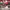 https://res.cloudinary.com/billionhands/image/upload/v1774903481/items/m5ctgecvfspflllzf2ar.jpg-2cover