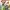 https://res.cloudinary.com/billionhands/image/upload/v1774903833/items/z3zsknl1uzuytuty4h2u.jpg-3cover
