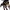 https://res.cloudinary.com/billionhands/image/upload/v1774903843/items/o05v64ilh0yvkcusg3c3.webp-0cover