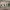 https://res.cloudinary.com/billionhands/image/upload/v1774904387/items/pf82qtsxoqbegmt1cpzn.png-0cover