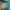 https://res.cloudinary.com/billionhands/image/upload/v1774904652/items/itvukoyeczff7kmaabqi.webp-2cover
