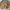 https://res.cloudinary.com/billionhands/image/upload/v1774905133/items/buaklogrmmgrzulhptci.avif-0cover