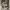 https://res.cloudinary.com/billionhands/image/upload/v1774906622/items/phqxoi5x9fkfef50yh56.jpg-0cover