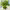 https://res.cloudinary.com/billionhands/image/upload/v1774907183/items/uvm0qgo4bc0zjmzv67au.jpg-1cover