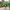 https://res.cloudinary.com/billionhands/image/upload/v1774907191/items/zwiuki3ngf95zhuk1ak6.jpg-3cover