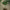 https://res.cloudinary.com/billionhands/image/upload/v1774907208/items/kqqhibmo55acxyoboph1.jpg-3cover