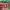 https://res.cloudinary.com/billionhands/image/upload/v1774907435/items/xo78aktuvaoxjrep0v4e.webp-1cover