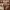 https://res.cloudinary.com/billionhands/image/upload/v1774907479/items/gpweb8rtolqbpn5dusxe.jpg-0cover