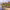 https://res.cloudinary.com/billionhands/image/upload/v1774907844/items/xmrfnsjfimmqyxdpdzuf.webp-3cover