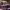 https://res.cloudinary.com/billionhands/image/upload/v1774908211/items/mrio8du6dnjwjvblkwfw.jpg-2cover