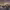 https://res.cloudinary.com/billionhands/image/upload/v1774908393/items/t1hvcsnsxxmiq4hq3gun.jpg-2cover