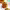 https://res.cloudinary.com/billionhands/image/upload/v1774908403/items/qotsgxcp9rz4wggyflph.jpg-2cover