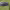 https://res.cloudinary.com/billionhands/image/upload/v1774908502/items/vkknxex3b2bxrartv4fq.png-0cover