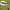 https://res.cloudinary.com/billionhands/image/upload/v1774908507/items/iio1co3bsptmog4wiscq.jpg-3cover