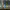 https://res.cloudinary.com/billionhands/image/upload/v1774908552/items/rpz5mrg1fng5kexhgdko.webp-0cover