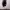 https://res.cloudinary.com/billionhands/image/upload/v1774908557/items/s2zrf7gq3fgwwrtxoilr.jpg-1cover