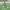 https://res.cloudinary.com/billionhands/image/upload/v1774908961/items/f6c53iyb3kmv3bv1bqow.jpg-2cover