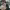 https://res.cloudinary.com/billionhands/image/upload/v1774909427/items/zf6stihhc1y9sxdaddcv.jpg-1cover