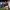 https://res.cloudinary.com/billionhands/image/upload/v1774909433/items/xj002hx9yzhfmeddzbgr.jpg-2cover