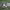 https://res.cloudinary.com/billionhands/image/upload/v1774909459/items/xiqoydsq8nbswu8xeoia.jpg-1cover