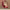 https://res.cloudinary.com/billionhands/image/upload/v1774909958/items/cb5nlkwgmopt4svvylg6.avif-2cover