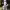 https://res.cloudinary.com/billionhands/image/upload/v1774909985/items/lzjie9tpkfvajszicjks.jpg-3cover