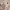 https://res.cloudinary.com/billionhands/image/upload/v1774910415/items/ityhv9i42sltckwc39lf.png-3cover
