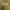 https://res.cloudinary.com/billionhands/image/upload/v1774910417/items/d5jhph302rmbspsur0lf.jpg-3cover
