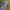 https://res.cloudinary.com/billionhands/image/upload/v1774910420/items/jrgbd1vyzvmoajn6fs7p.jpg-2cover