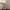 https://res.cloudinary.com/billionhands/image/upload/v1774910486/items/qr3zprrkmmqhvgiyssnn.jpg-2cover