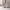 https://res.cloudinary.com/billionhands/image/upload/v1774910487/items/rjvpiqz4sb3zvixllppf.webp-0cover