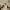 https://res.cloudinary.com/billionhands/image/upload/v1774910541/items/finoxhax2qtor0e0tczz.avif-3cover