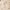 https://res.cloudinary.com/billionhands/image/upload/v1774911378/items/h0vcjwo0nmeyrmfefkc0.png-2cover
