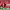 https://res.cloudinary.com/billionhands/image/upload/v1774911654/items/thbdyd7ljkot6dtebkcs.avif-3cover
