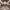 https://res.cloudinary.com/billionhands/image/upload/v1774911978/items/n8ysvnapiucbj5unytxt.jpg-0cover