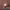 https://res.cloudinary.com/billionhands/image/upload/v1774912513/items/vflouxundpxo49wkv6ar.jpg-2cover