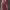 https://res.cloudinary.com/billionhands/image/upload/v1774912516/items/vgrlpkgmkddv8ofghfsx.webp-1cover