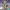 https://res.cloudinary.com/billionhands/image/upload/v1774912925/items/jutjrh2b4boizltafi7w.webp-0cover