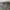 https://res.cloudinary.com/billionhands/image/upload/v1774913192/items/j0r3efxvlckyuxw6qt6v.jpg-2cover