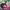 https://res.cloudinary.com/billionhands/image/upload/v1774913420/items/bfbaqvw03exm3olysg99.webp-1cover