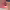https://res.cloudinary.com/billionhands/image/upload/v1774913420/items/pr6jawenxl9cj6mwsduy.jpg-0cover
