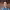 https://res.cloudinary.com/billionhands/image/upload/v1774913785/items/yy9gmtl0xddzywpmnpyo.webp-3cover