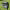https://res.cloudinary.com/billionhands/image/upload/v1774914158/items/etdhy6rwxcup1fztxokg.png-2cover