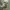 https://res.cloudinary.com/billionhands/image/upload/v1774914221/items/suuxkxh3fcs7jng8wiuz.jpg-0cover