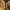 Doja Cat – Say So (2020) cover